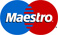 Maestro Debit Card